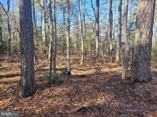 Lot 20 Orange Dr, HAGUE, VA, 22469-3131 | Card Image