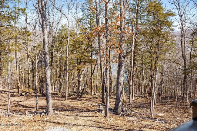 485 Cedarledge Rd, House other with 6 bedrooms, 3 bathrooms and null parking in Lampe MO | Image 51