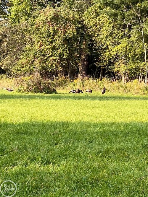 0 W Harrington Rd, Croswell, MI, 48422 | Card Image