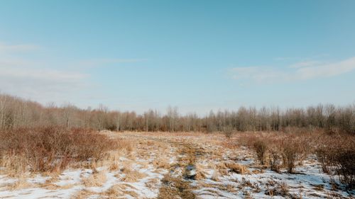 9380 Babbitt Rd, Cranesville, PA, 16410 | Card Image