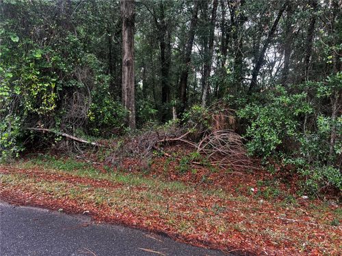  Tbd Nw 61st Ln, OCALA, FL, 34482 | Card Image