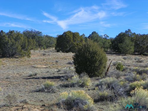 41-78 E Sawtooth Dr, Pie Town, NM, 87827 | Card Image