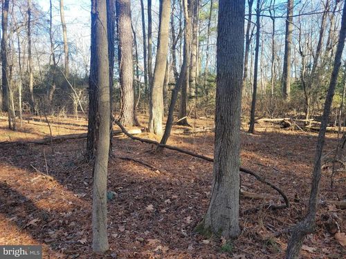 Lot 13 Holiday Ln, HAGUE, VA, 22469-2628 | Card Image