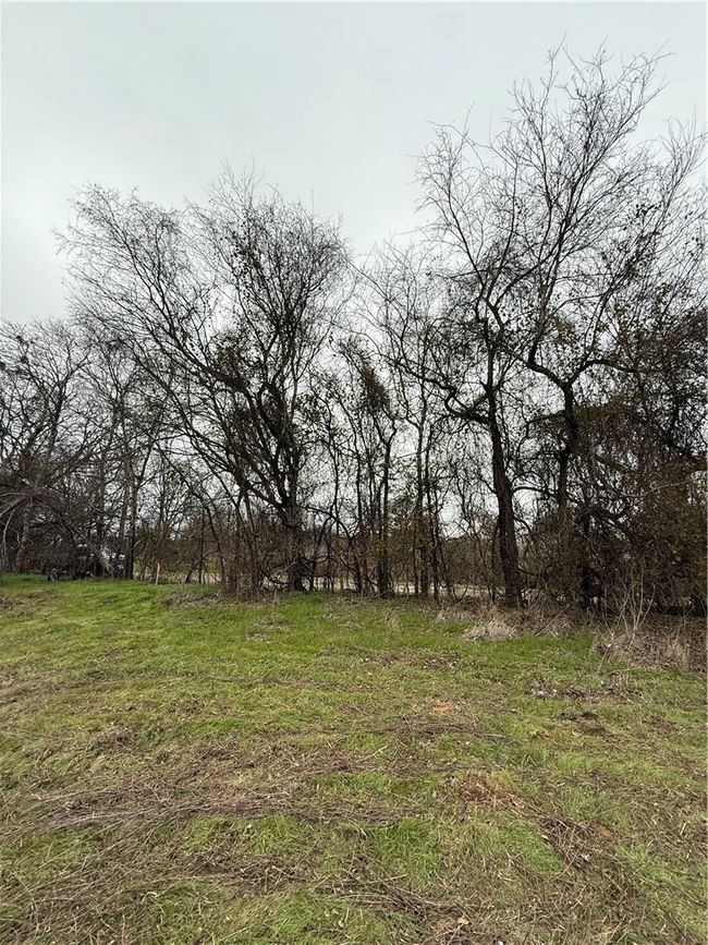 View of yard | Image 12