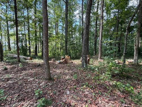Lot 172 Stillwater Blvd, Russell Springs, KY, 42642 | Card Image