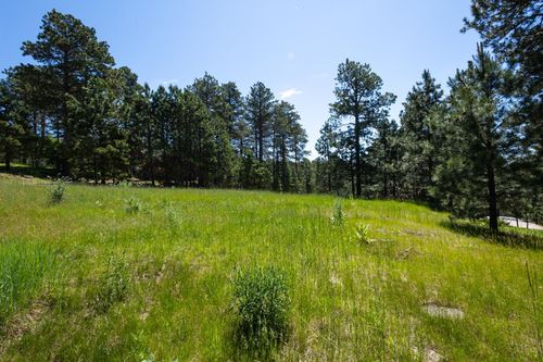 Lot 16 Cuba Rd, Deadwood, SD, 57732 | Card Image