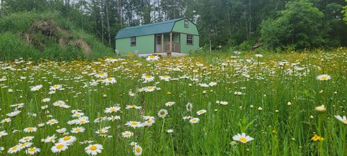 11116 Blackberry Dr, Trego, WI, 54888 | Card Image