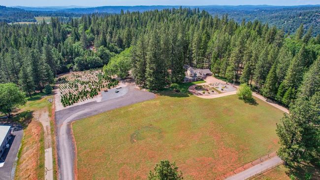 You can see the first drive on left takes you to the Christmas tree farm, plenty of parking! Seller paid $3500. for plans for an AG building. Gorgeous newer home next door. | Image 17