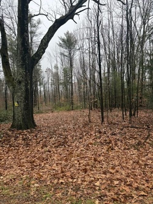 0 Wendell Depot Rd, Wendell, MA, 01379 | Card Image