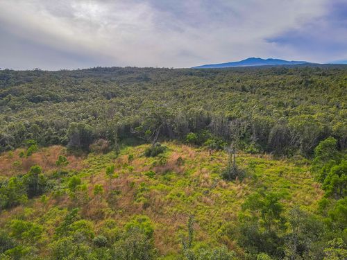 59 Maulua Trl, PAPAALOA, HI, 96780 | Card Image