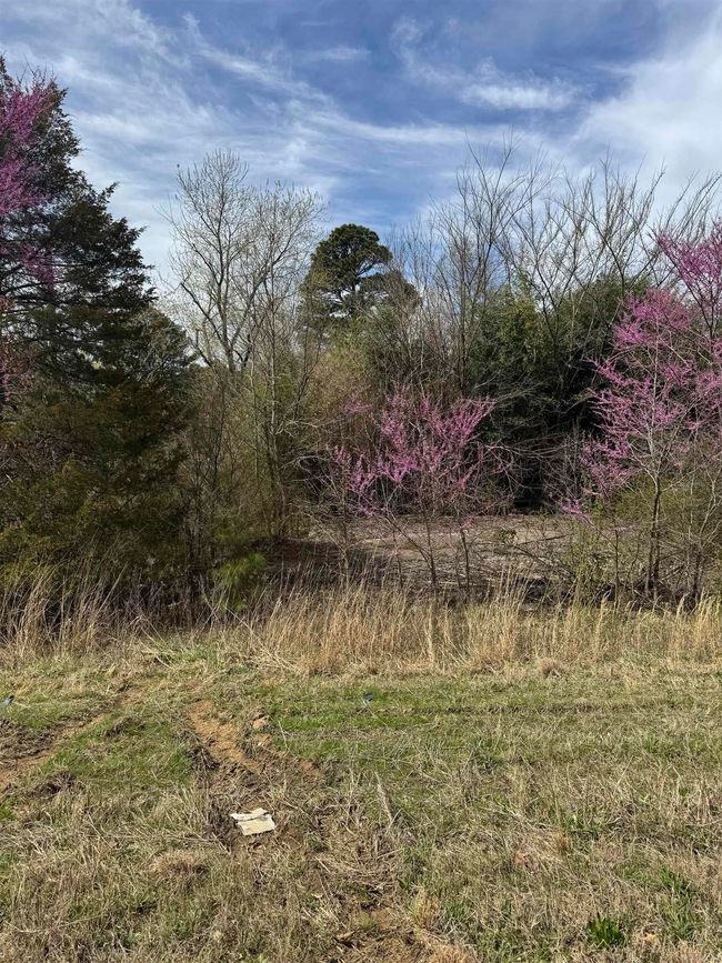 100 Highway 167 N, Home with 0 bedrooms, 0 bathrooms and null parking in Bald Knob AR | Image 5