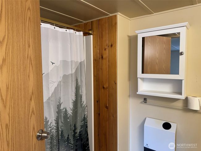 Primary bathroom | Image 19