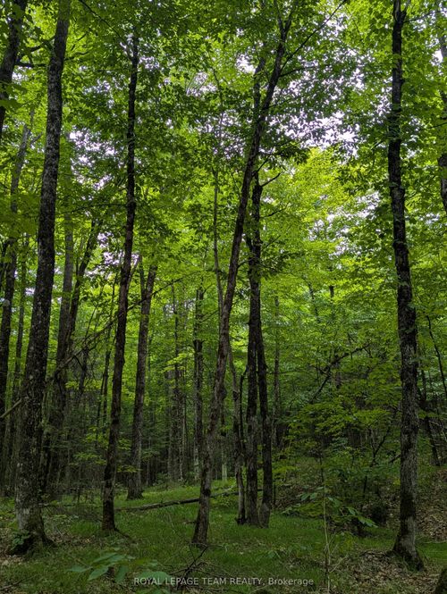 00 Triple Tower Road, Lanark Highlands, ON, K0G1K0 | Card Image