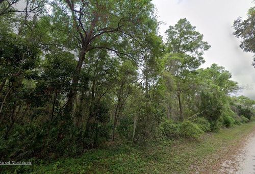 88 Ne 463rd Ave, OLD TOWN, FL, 32680-0058 | Card Image