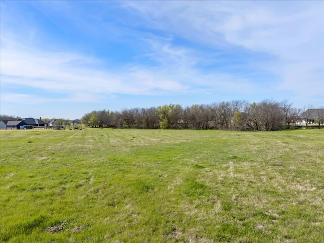 View of yard | Image 7