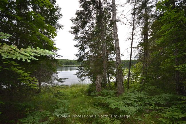 0 Harburn Rd, Home with 0 bedrooms, 0 bathrooms and null parking in Haliburton ON | Image 22