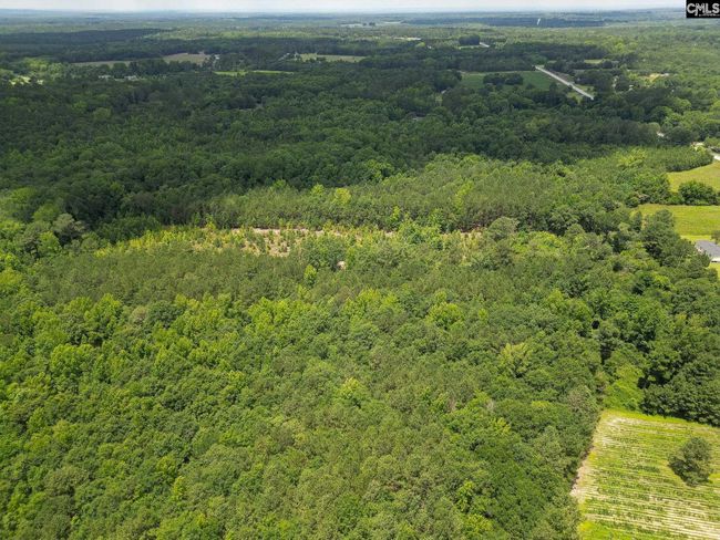 00 Kirkland Rd, Home with 0 bedrooms, 0 bathrooms and null parking in Rembert SC | Image 6