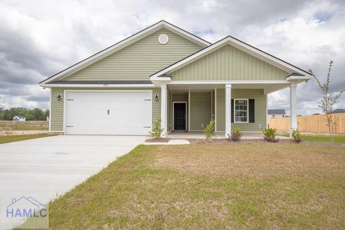 202 Freshwater Lane, Ludowici, GA, 31316 | Card Image