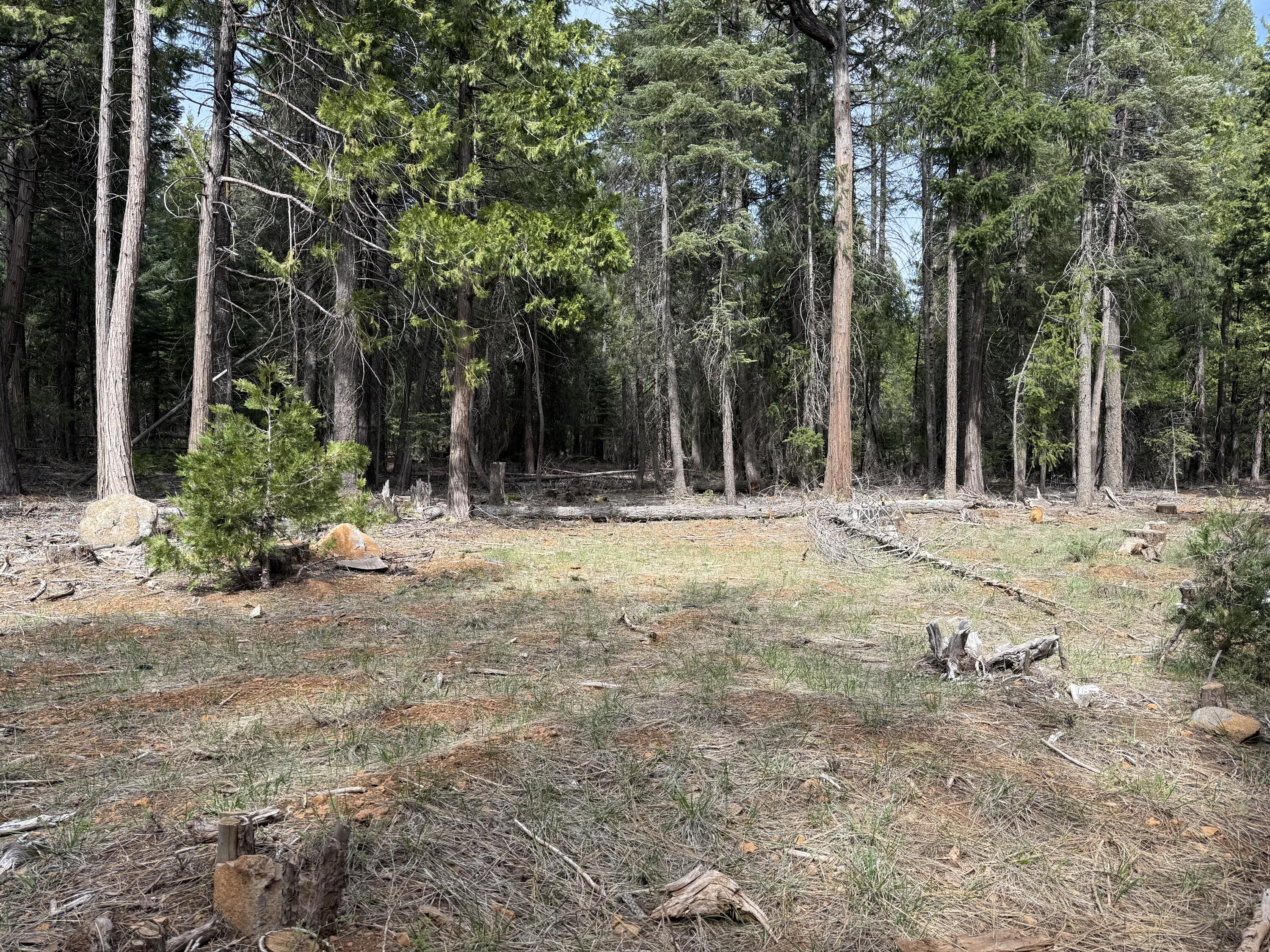 Land in Shingletown 2