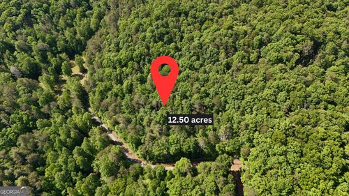0 Gold Springs Road, Cherry Log, GA, 30522 | Card Image
