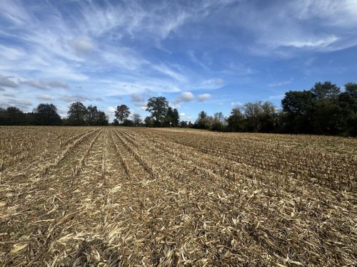 10 Lea Dr, Big Bend, WI, 53103 | Card Image