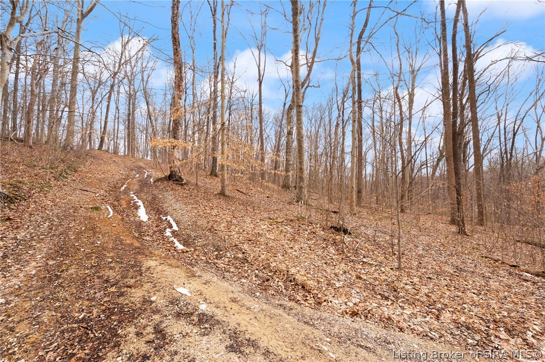 Land in Paoli 2