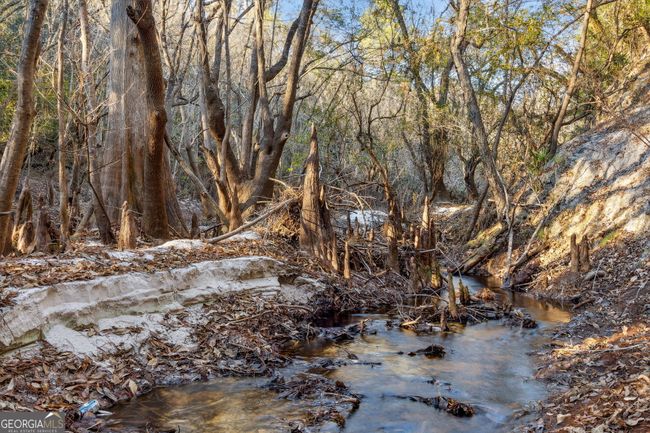 0 Highway 185, Home with 0 bedrooms, 0 bathrooms and null parking in Saint George GA | Image 17