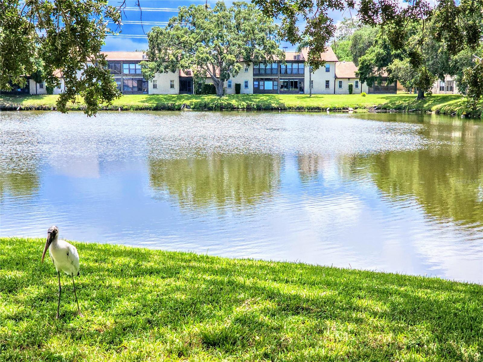 Staysail Ln, Holiday, FL 34691