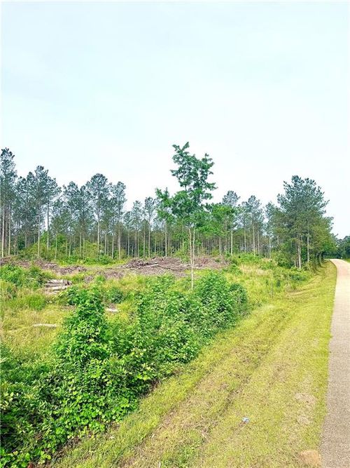 Lot3 TBD Lee Road, Franklinton, LA, 70438 | Card Image