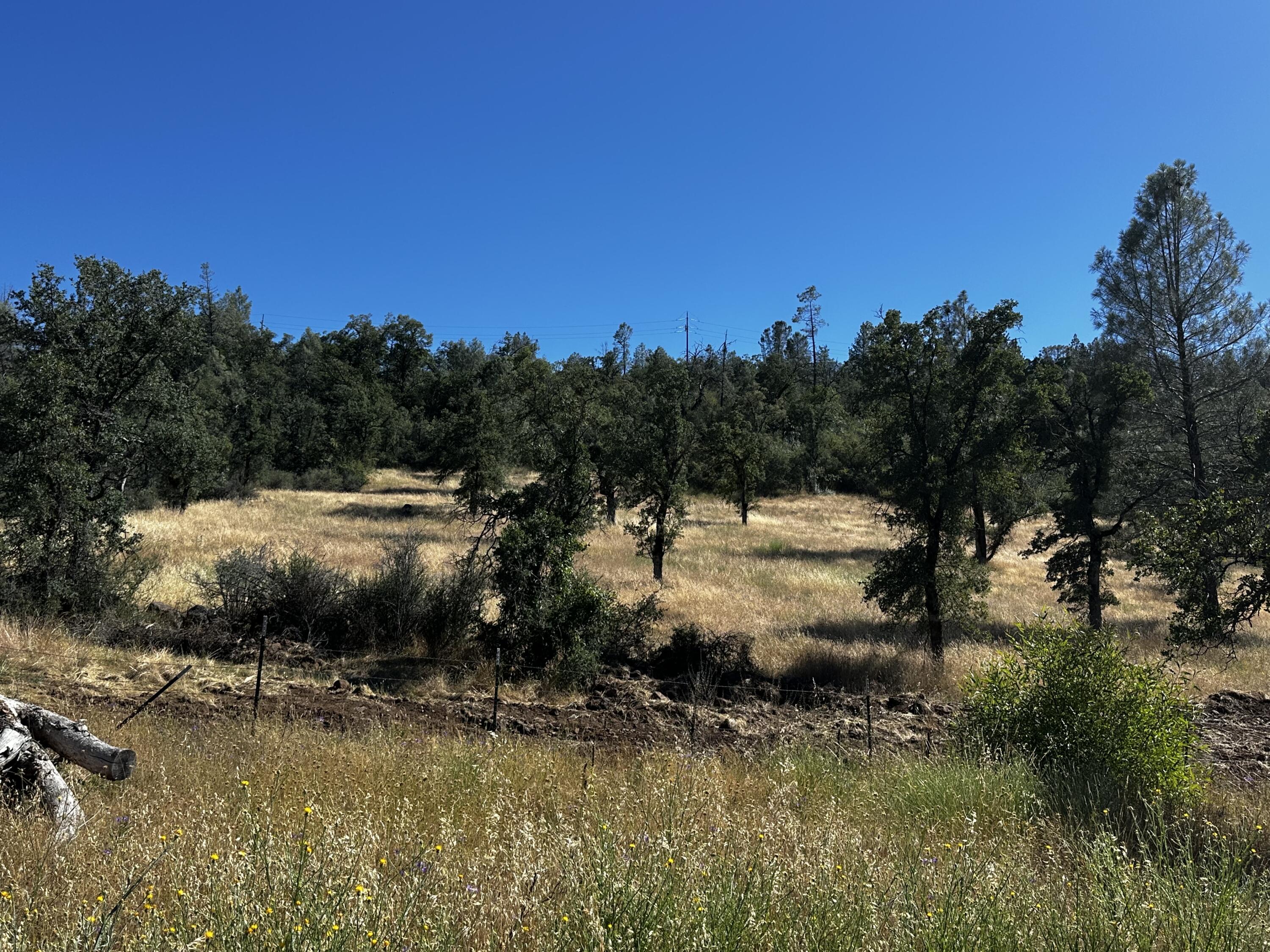 Land in Shingletown 4