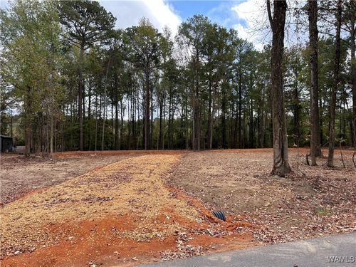 231 Pinecrest Ln, Pickensville, AL, 35447-4146 | Card Image