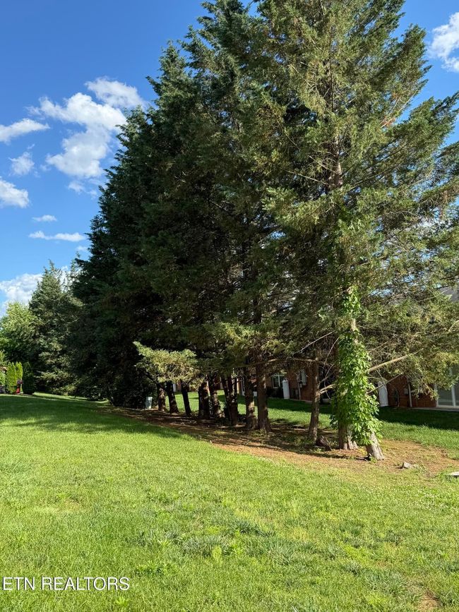 END - 2903 Dominion Dr, Condo with 2 bedrooms, 2 bathrooms and 1 parking in Maryville TN | Image 7