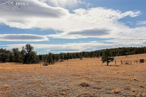 000 Twinkle Rd, Guffey, CO, 80820 | Card Image