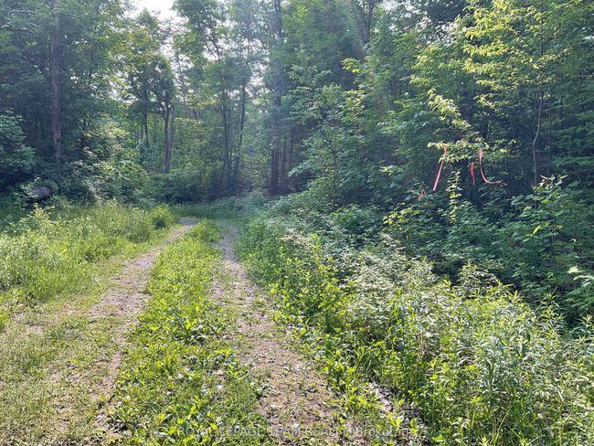 0 County Rd 511, Home with 0 bedrooms, 0 bathrooms and null parking in Lanark ON | Image 7