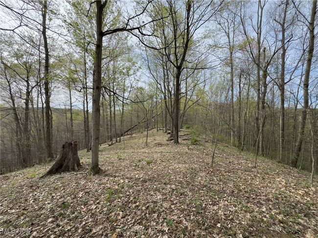 View of landscape featuring a view of trees | Image 42