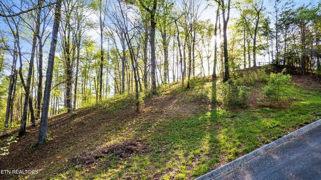 39 Apple Tree Dr, Home with 0 bedrooms, 0 bathrooms and null parking in Clinton TN | Image 4