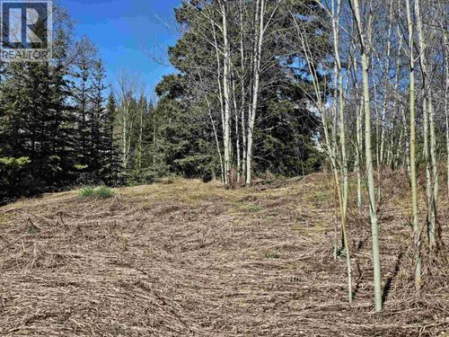 101 5th Ave, Bulkley-Nechako Rd Rural, BC, V0J3A2 | Card Image