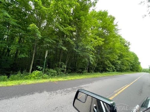 12395 E Shore Rd, Bergland, MI, 49910-9517 | Card Image