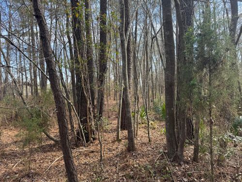 0 Branton Ln, Moncks Corner, SC, 29461 | Card Image