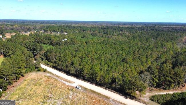 268-ACRES - 99 Old Happy Ln, Home with 0 bedrooms, 0 bathrooms and null parking in Brooklet GA | Image 16