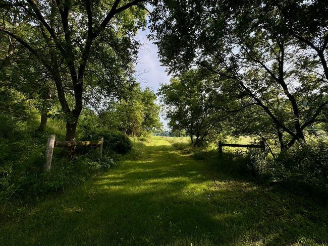 E13758 Highway 82, House other with 4 bedrooms, 2 bathrooms and null parking in Stark WI | Image 47
