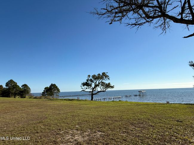 Back yard | Image 36