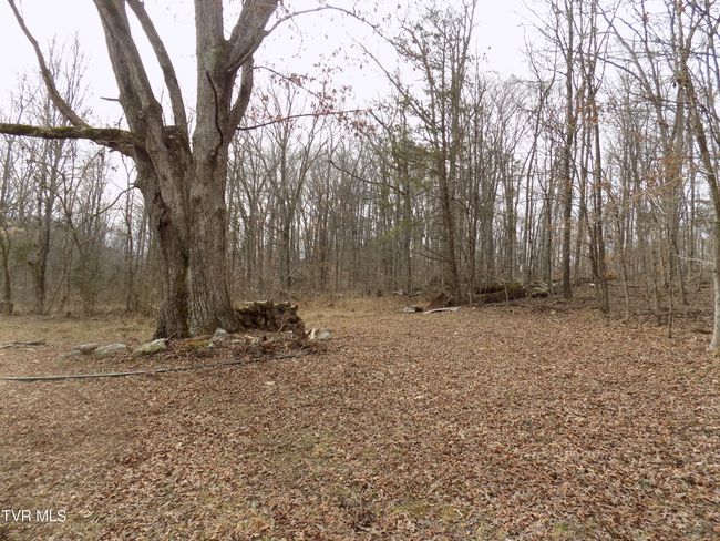 185 Lovin Rd, House other with 4 bedrooms, 2 bathrooms and null parking in Mooresburg TN | Image 44