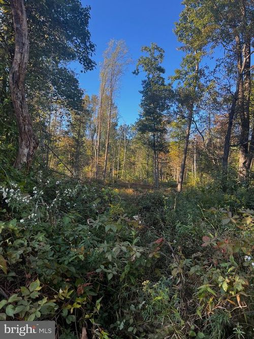 0 W Grand Ave, TOWER CITY, PA, 17980 | Card Image