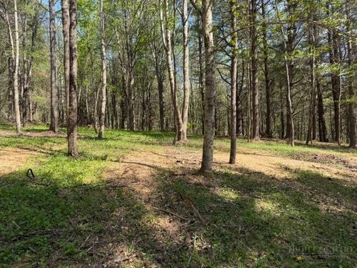 TBD (1.014 Acre) Crestview Drive West, Creston, NC, 28615 | Card Image