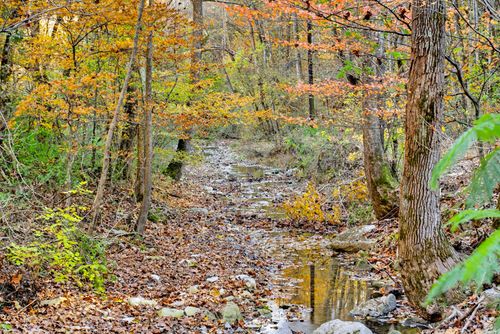 0 Rock House Hollow Rd, Westmoreland, TN, 37186 | Card Image