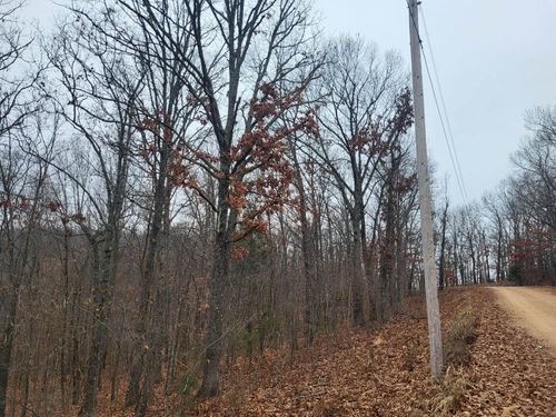 Tbd County Road East 76-211, Ava, MO, 65608 | Card Image