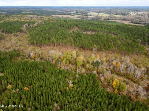 717 County Road 235, Bruce, MS, 38915 | Card Image
