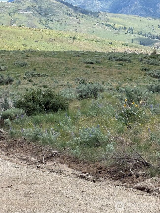 With this 8 acres, you have many choices of where you could build your next, best get-away! | Image 25