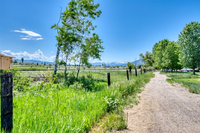 Walking Path | Image 62
